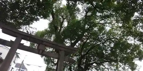 山王神社の鳥居