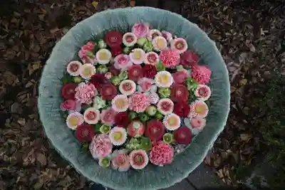 行田八幡神社(埼玉県)