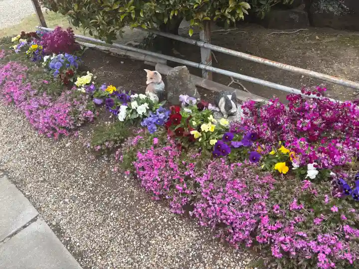正等山 円福寺の{uncategorized: "未分類", other: "その他", undefined: "問題あり", building: "その他建物", grave: "お墓", sacred_gate: "鳥居", guardian: "狛犬", statue: "像", buddha: "仏像", history: "歴史", nature: "自然", garden: "庭園", animal: "動物", pagoda: "塔", temizu: "手水舎", mountain_gate: "山門・神門", sanctuary: "本殿・本堂", subordinate: "末社・摂社", art: "芸術", scenery: "景色", jizo: "地蔵", ema: "絵馬", goshuin: "御朱印", omikuji: "おみくじ", items: "授与品その他", amulet: "お守り", goshuincho: "御朱印帳", eats: "食事", festival: "お祭り", votive_dance: "神楽", shichigosan: "七五三参", wedding: "結婚式", experience: "体験その他", initially: "初詣", around: "周辺", anti_infection: "感染症対策"}