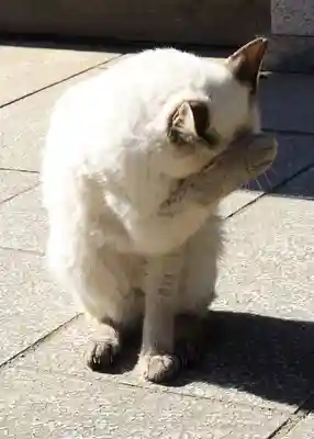 一乗寺(兵庫県)