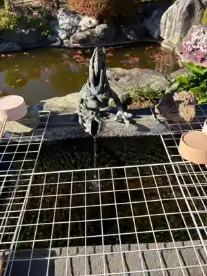 泉竜寺(乙女不動尊)(栃木県)