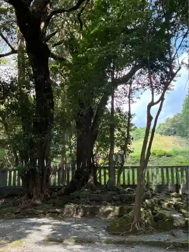 山宮浅間神社(静岡県)
