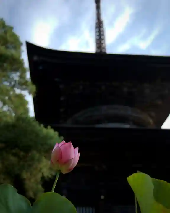 楽法寺(雨引観音)(茨城県)