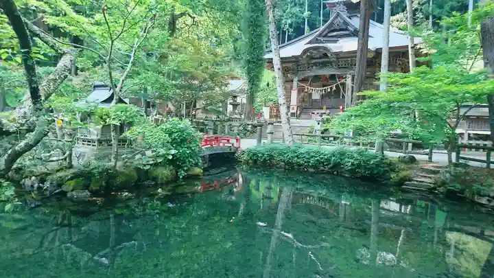 横山不動尊の庭園