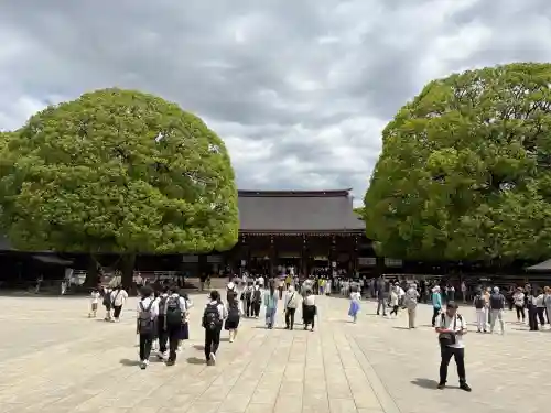 明治神宮(東京都)