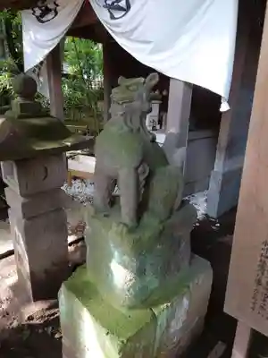 上目黒氷川神社の狛犬