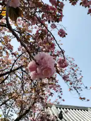 荘厳寺(東京都)