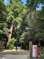 鹿島神宮(茨城県)