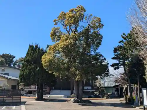 西方寺(東京都)