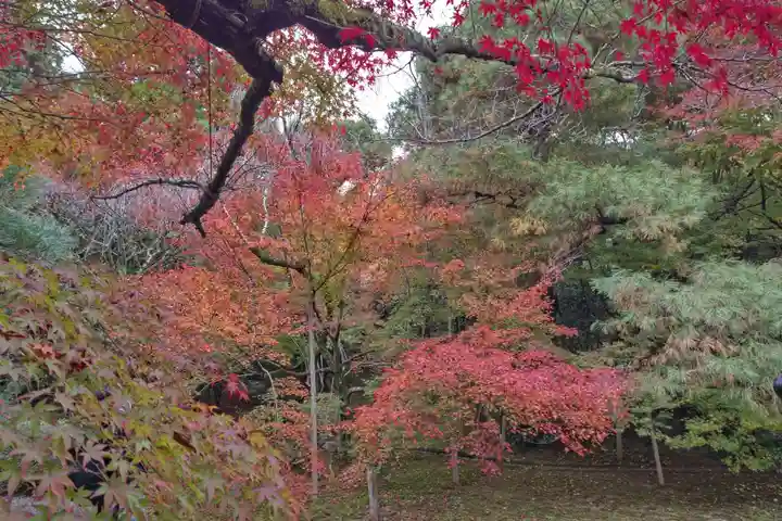 龍安寺(京都府)