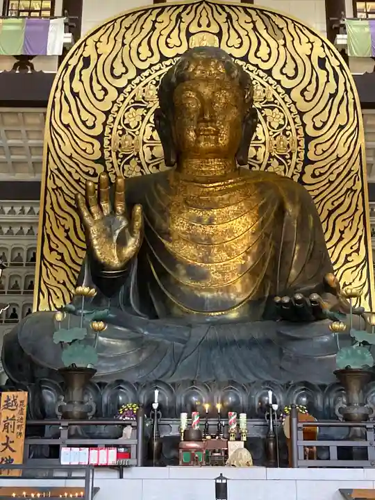 清大寺(越前大仏)(福井県)