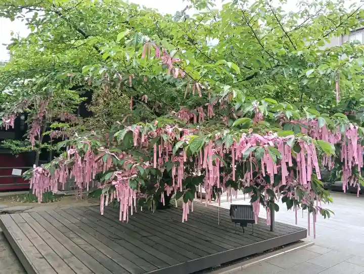 桜神宮の{uncategorized: "未分類", other: "その他", undefined: "問題あり", building: "その他建物", grave: "お墓", sacred_gate: "鳥居", guardian: "狛犬", statue: "像", buddha: "仏像", history: "歴史", nature: "自然", garden: "庭園", animal: "動物", pagoda: "塔", temizu: "手水舎", mountain_gate: "山門・神門", sanctuary: "本殿・本堂", subordinate: "末社・摂社", art: "芸術", scenery: "景色", jizo: "地蔵", ema: "絵馬", goshuin: "御朱印", omikuji: "おみくじ", items: "授与品その他", amulet: "お守り", goshuincho: "御朱印帳", eats: "食事", festival: "お祭り", votive_dance: "神楽", shichigosan: "七五三参", wedding: "結婚式", experience: "体験その他", initially: "初詣", around: "周辺", anti_infection: "感染症対策"}