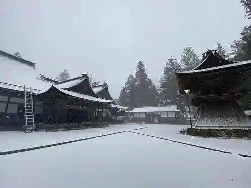 高野山真言宗総本山金剛峯寺(和歌山県)