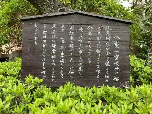 極楽寺（霊鷲山感應院極楽律寺）のその他建物