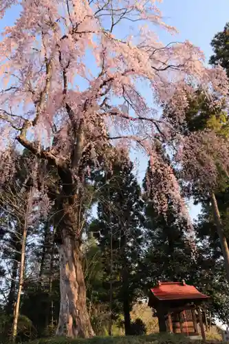 愛宕神社の景色