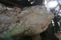 鹿島大神宮の自然