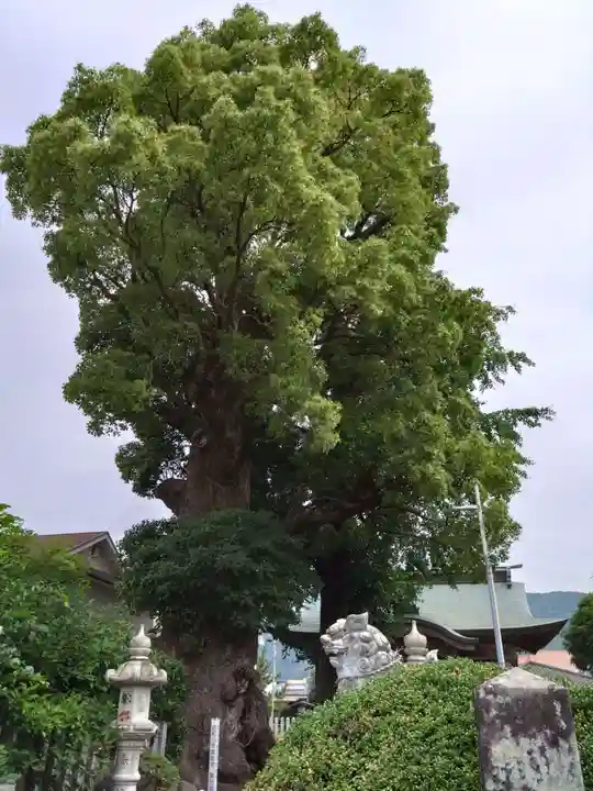 下代菅原神社の自然