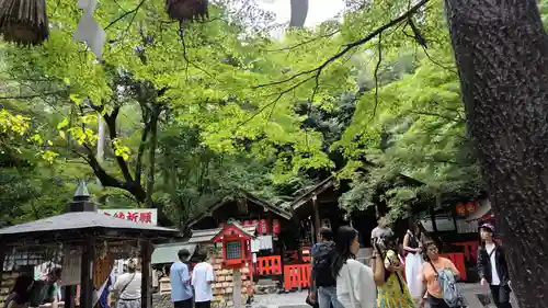 野宮神社(京都府)