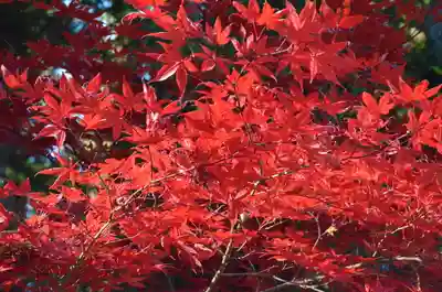 北口本宮冨士浅間神社(山梨県)