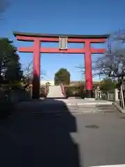 亀戸天神社の鳥居