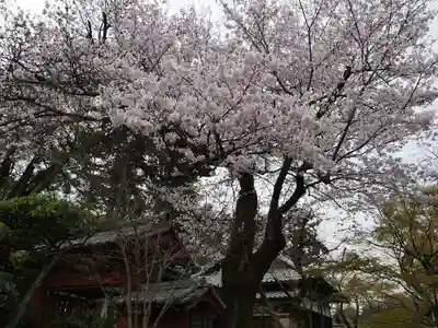 豪徳寺のその他建物