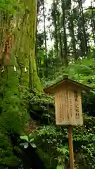 花園神社の自然