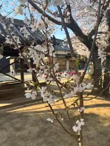 大年神社(兵庫県)