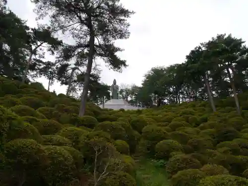 塩船観音寺の自然