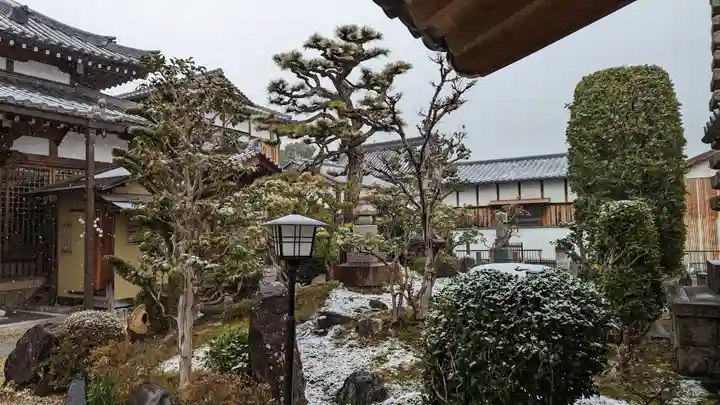 大松禅寺の庭園