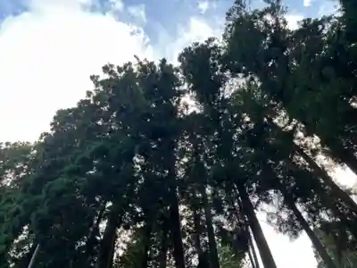 大宮温泉神社(栃木県)