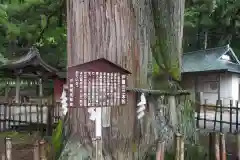 戸隠神社中社(長野県)