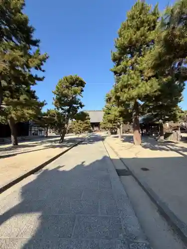 百萬遍知恩寺の{uncategorized: "未分類", other: "その他", undefined: "問題あり", building: "その他建物", grave: "お墓", sacred_gate: "鳥居", guardian: "狛犬", statue: "像", buddha: "仏像", history: "歴史", nature: "自然", garden: "庭園", animal: "動物", pagoda: "塔", temizu: "手水舎", mountain_gate: "山門・神門", sanctuary: "本殿・本堂", subordinate: "末社・摂社", art: "芸術", scenery: "景色", jizo: "地蔵", ema: "絵馬", goshuin: "御朱印", omikuji: "おみくじ", items: "授与品その他", amulet: "お守り", goshuincho: "御朱印帳", eats: "食事", festival: "お祭り", votive_dance: "神楽", shichigosan: "七五三参", wedding: "結婚式", experience: "体験その他", initially: "初詣", around: "周辺", anti_infection: "感染症対策"}
