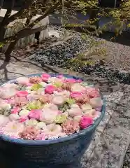 行田八幡神社(埼玉県)