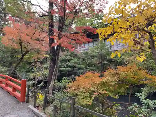 鶴岡八幡宮の自然