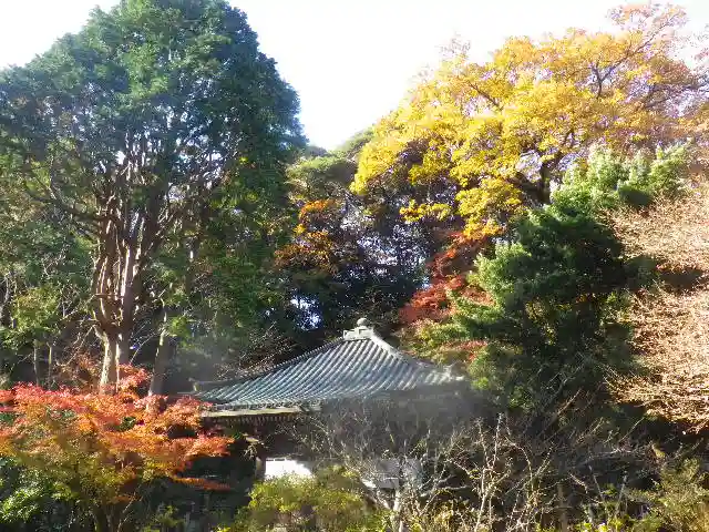 安國論寺(安国論寺)の景色