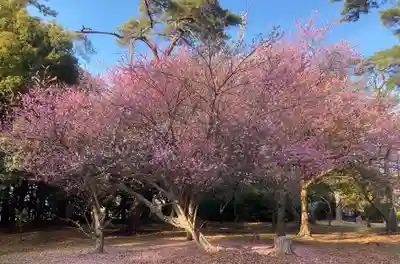霊犬神社(静岡県)