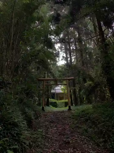 安房大杉神社の鳥居