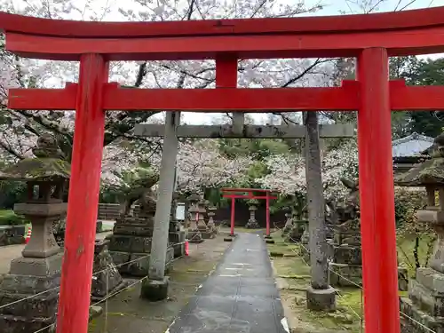 松江城山稲荷神社の鳥居