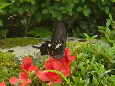 西明寺(滋賀県)