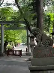 岩槻久伊豆神社(埼玉県)