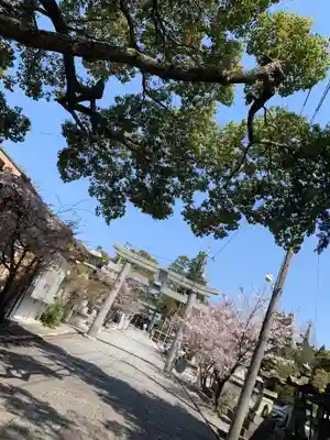 琴崎八幡宮のその他建物