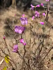 大生郷天満宮の自然