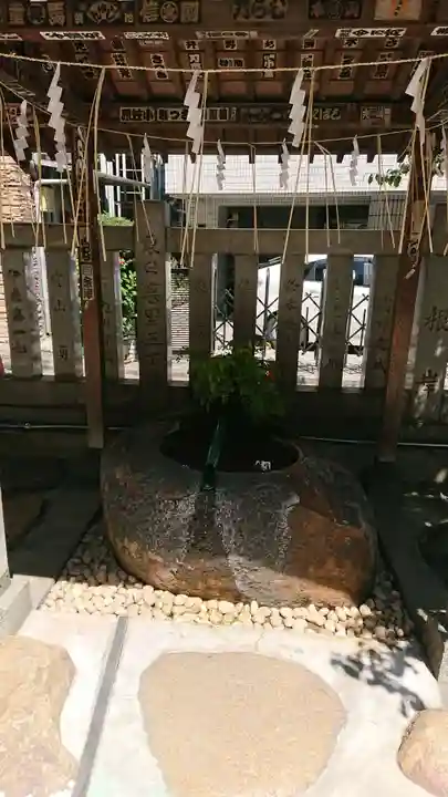 元三島神社の手水舎