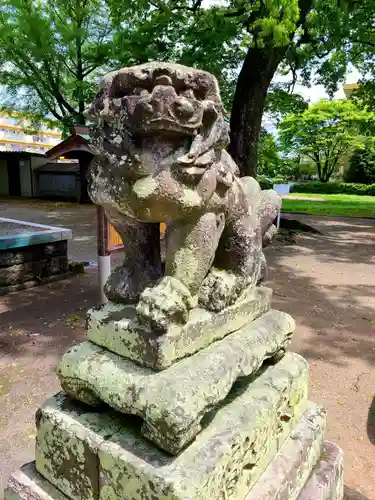 天満神社の狛犬