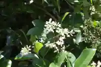 梨木神社(京都府)