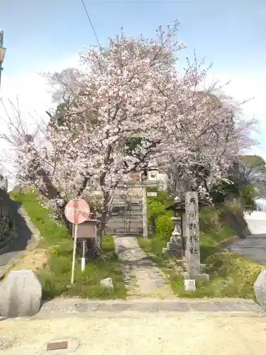 天御柱神社の景色