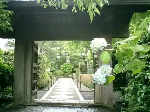 明月院の山門