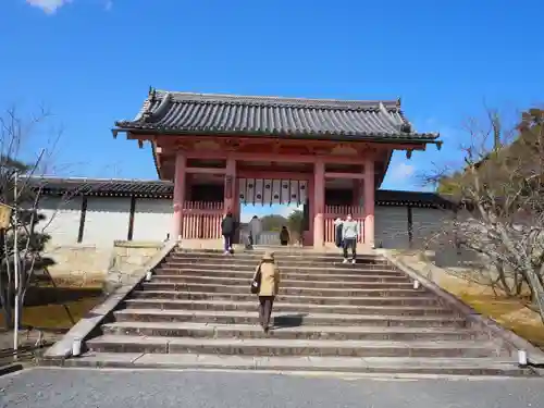 仁和寺の山門