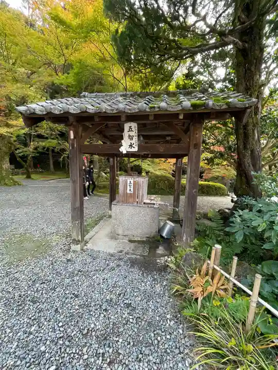 今熊野観音寺のその他建物