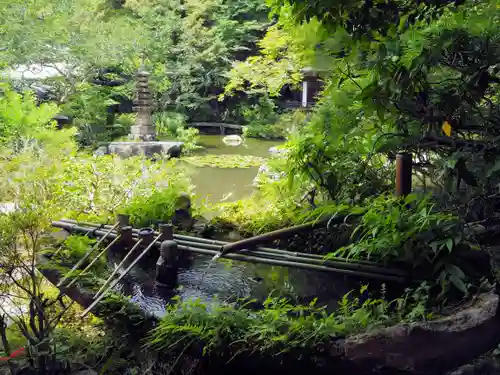 毘沙門堂門跡の手水舎